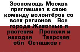 Зоопомощь.Москва приглашает в свою команду волонтёров со всех регионов - Все города Животные и растения » Пропажи и находки   . Тверская обл.,Осташков г.